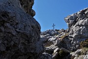 In MONTE ALBEN (2019 m) dal Passo della Crocetta il 21 maggio 2017 - FOTOGALLERY